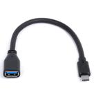 Adaptador OTG USB Tipo C para USB Femea - Ausbotg
