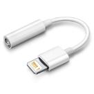 Adaptador Para Fone de Ouvido P2 Lightning Ios 3,5mm