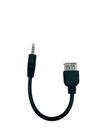 Adaptador Para Usb Fêmea X P2 Macho