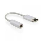 Adaptador Tipo C Para P2 Xtrad Ch- 0413