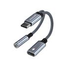 Adaptador Tipo C para Tipo C e Fone P2 Peining - GCM CASES