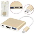 Adaptador Type-C HDTV USB 3.0 IT-BLUE LE-5573 Dourado