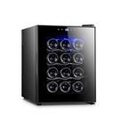 Adega Termoelétrica 12 Garrafas Easycooler 220V Preto