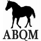 Adesivo ABQM SV2206 - Preto