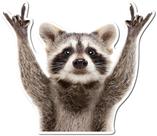 Adesivo ArkWisdom Rocking Raccoon Car Laptop Wall Window Adesivo ArkWisdom Rocking Raccoon Car Laptop Wall Window
