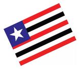 Adesivo Bandeira Maranhão Resinado 4x6cm Bd27