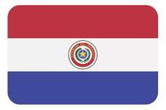 Adesivo Bandeira Paraguai Resinado 4x6cm Bd16