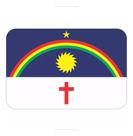 Adesivo Bandeira Pernambuco Resinado 4x6cm Bd34