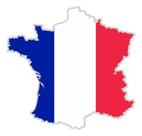 Adesivo Citroen Bandeira France Resinado Res5 Frete Fixo Fgc