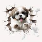 Adesivo de Carro Shih tzu Mod02