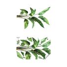 Adesivo De Parede 3D Realista Verde Com Folhas, Fácil De Aplicar, Para Decoração De Casa, Escritório Adesivo De Parede 3D Realista Verde Com Folhas, Fácil De Aplicar, Para Decoração De Casa, Escritório