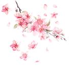 Adesivo de vinil para carro Scratch Cover Cherry Blossom Flower Decalque