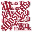 Adesivo Desert Cactus Indiana University Hoosiers Bloomington