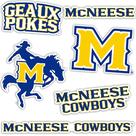 Adesivo Desert Cactus McNeese State University Cowboys T2