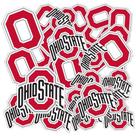 Adesivo Desert Cactus Ohio State University OSU Buckeyes T1