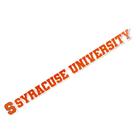 Adesivo Desert Cactus Syracuse University com logotipo laranja 38 cm Adesivo Desert Cactus Syracuse University com logotipo laranja 38 cm