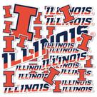 Adesivo Desert Cactus University of Illinois Fighting Illini