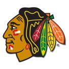 Adesivo em vinil Desert Cactus Chicago Blackhawks NHL