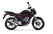 Adesivo Faixa De Proteção P/ Tanque Titan CG160 2018 e 2019