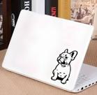 Adesivo para Notebook Cachorro