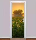 Adesivo Para Porta PRIMAVERA - FLORES - FLORAIS