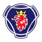 Adesivo Scania Logo Dragão Caminhão Capô Cromado - Genérico