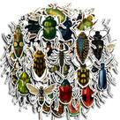 Adesivos 60 unidades/lote Insect Cute Beetle Vinyl Waterproof Graff