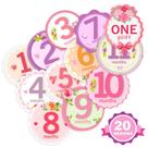 Adesivos Baby Monthly Milestone TurtleSurfers Girl com temas