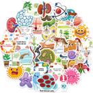 Adesivos Biology Cute Cartoon Animal & Plant Life Cycle x50