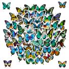 Adesivos de borboletas, álbum de recortes, 50 peças de flores azuis coloridas