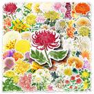 Adesivos de flor de crisântemo, 50 peças, vinil colorido à prova d'água