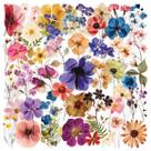 Adesivos de flores prensados Decalque botânico transparente Adesivos de flores prensados Decalque botânico transparente