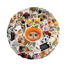 Adesivos De Meme De Cachorro E Gato Fofos 50PCS, Decalques Kawaii Para Skateboard, Caderno, Bagagem,