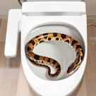 Adesivos de parede Cartoon Snake Toilet Funny Bathroom Decor Adesivos de parede Cartoon Snake Toilet Funny Bathroom Decor