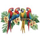 Adesivos de parede Papagaios coloridos Folhas tropicais 30x40cm PVC