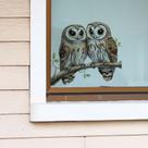 Adesivos de parede para janela Owl Pair Brown Owls on Tree Branch