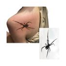 Adesivos De Tatuagem Temporária De Aranha À Prova D'água, De Longa Duração Por 1-2 Semanas Para