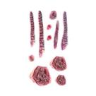 Adesivos De Tatuagem Temporária De Coágulo De Sangue Para O Rosto, À Prova d'Água, Para Halloween,