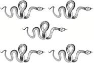 Adesivos de tatuagem temporários Yeahgoshopping Black Snake, pacote com 5