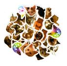 Adesivos Decorativos Scrapbook Planner 46 Peças Gatinhos