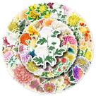 Adesivos, flores de crisântemo, vinil impermeável, 50 unidades Adesivos, flores de crisântemo, vinil impermeável, 50 unidades