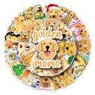 Adesivos Golden Retriever Animal Dog, vinil impermeável, 50 unidades