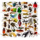 Adesivos Insect Butterfly Vinyl Waterproof Graffiti (50 unidades)
