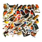 Adesivos Jifas Anime Mushrooms Robins Exam 40 unidades de PVC de 4-6 cm