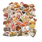 Adesivos Jifas Anime Mushrooms Robins Exam 40 unidades de PVC de 4-6 cm