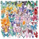 Adesivos, joias de borboleta, transparentes, 50 unidades