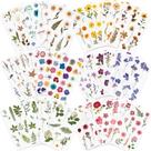 Adesivos Knaid prensados com tema de flores, 486 peças, 36 folhas