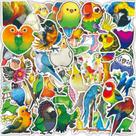 Adesivos Parrots Animals, vinil impermeável, anime, 50 unidades