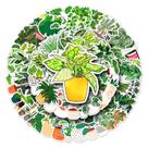 Adesivos Plant Waterproof Graffiti Decalques 50 unidades para decoração Adesivos Plant Waterproof Graffiti Decalques 50 unidades para decoração