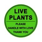 Adesivos Remarkable Live Plants de 3 polegadas manuseiam com cuidado